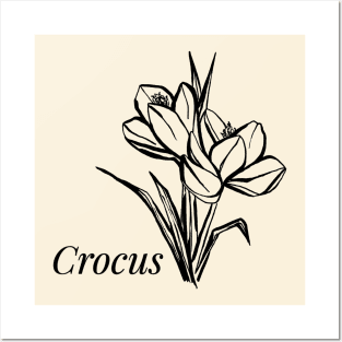 Crocus flower Posters and Art